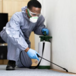 Termite Services