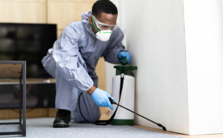 Termite Services
