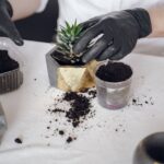 Soil Cremation Mixtures