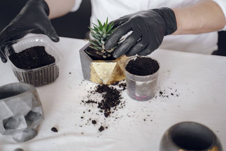 Soil Cremation Mixtures